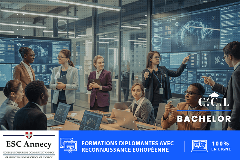 Bachelor en Management des Technologies et de l’Innovation Digitale
